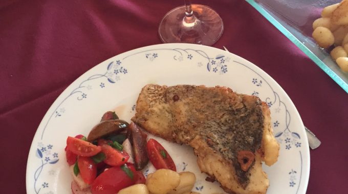 דג לוקוס – מלך הדגים